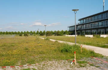 LFU___30.05.09._1.jpg desc